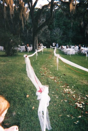 Beautiful Gossamer Draped Aisle