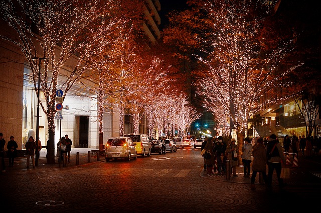 Street Lit Up for Christmas