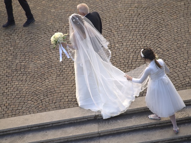 Cathedral Length Veil